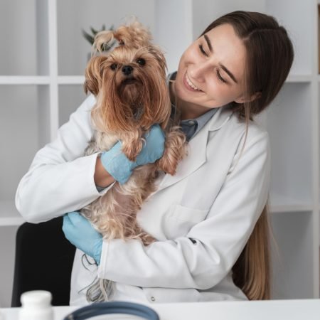 veterinario-que-controla-salud-cachorro